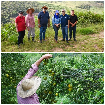 AGRICULTURA GRAVAT&Aacute;